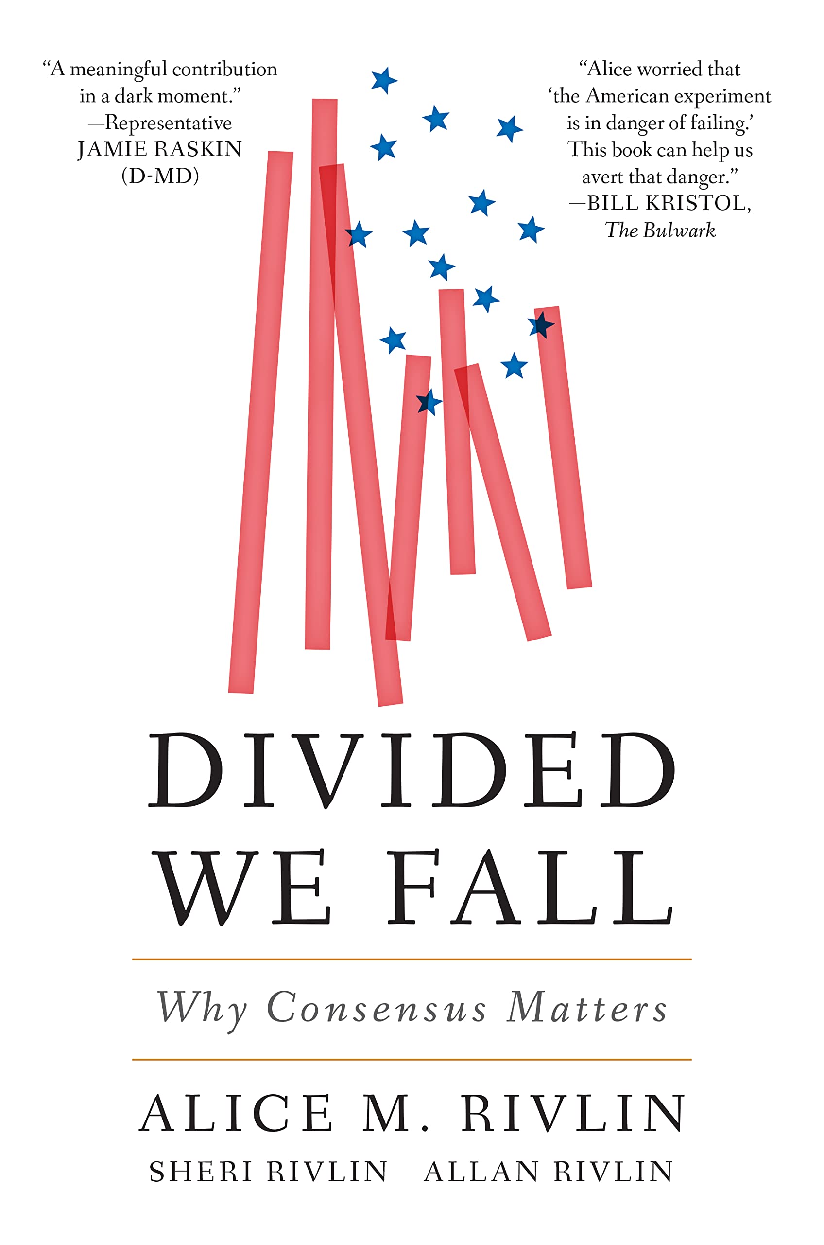 Divided We Fall: Why Consensus Matters (Geopolitics In The 21St Century),Used