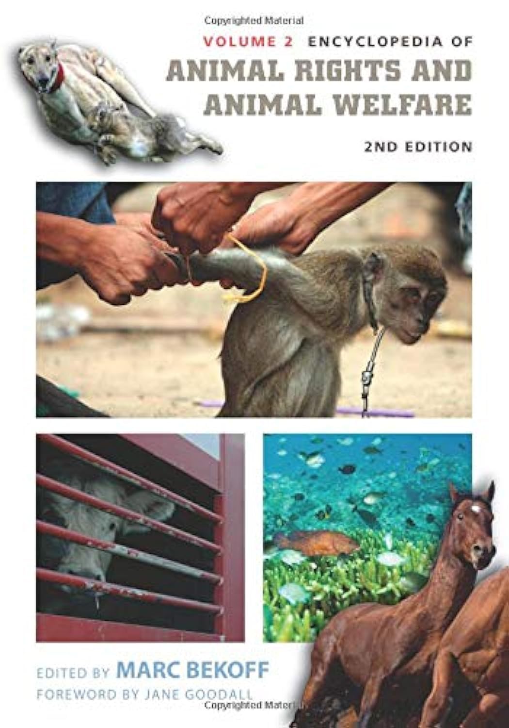 Encyclopedia of Animal Rights and Animal Welfare: Encyclopedia of Animal Rights and Animal Welfare: Second Edition, Volum