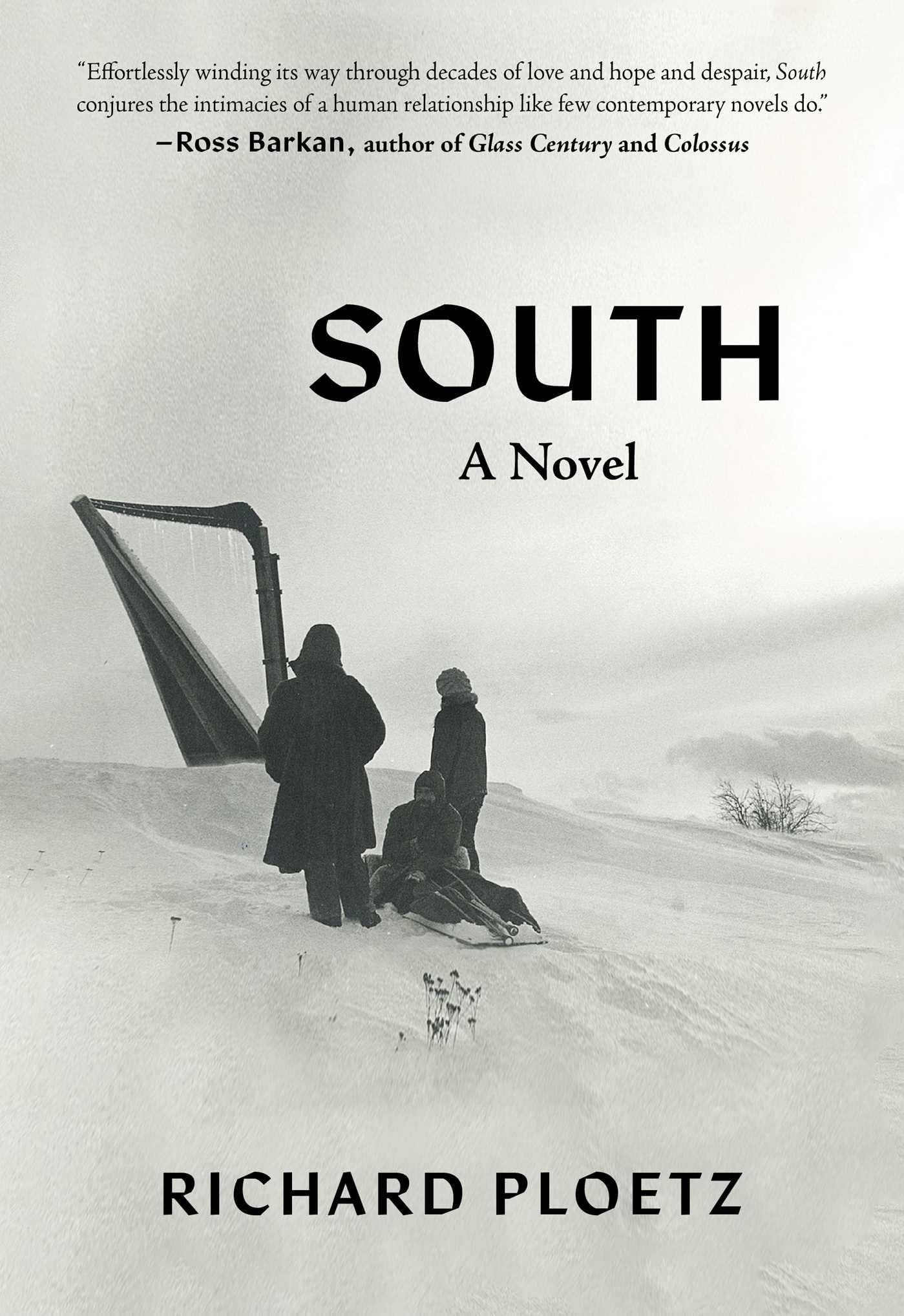 South: A Novel