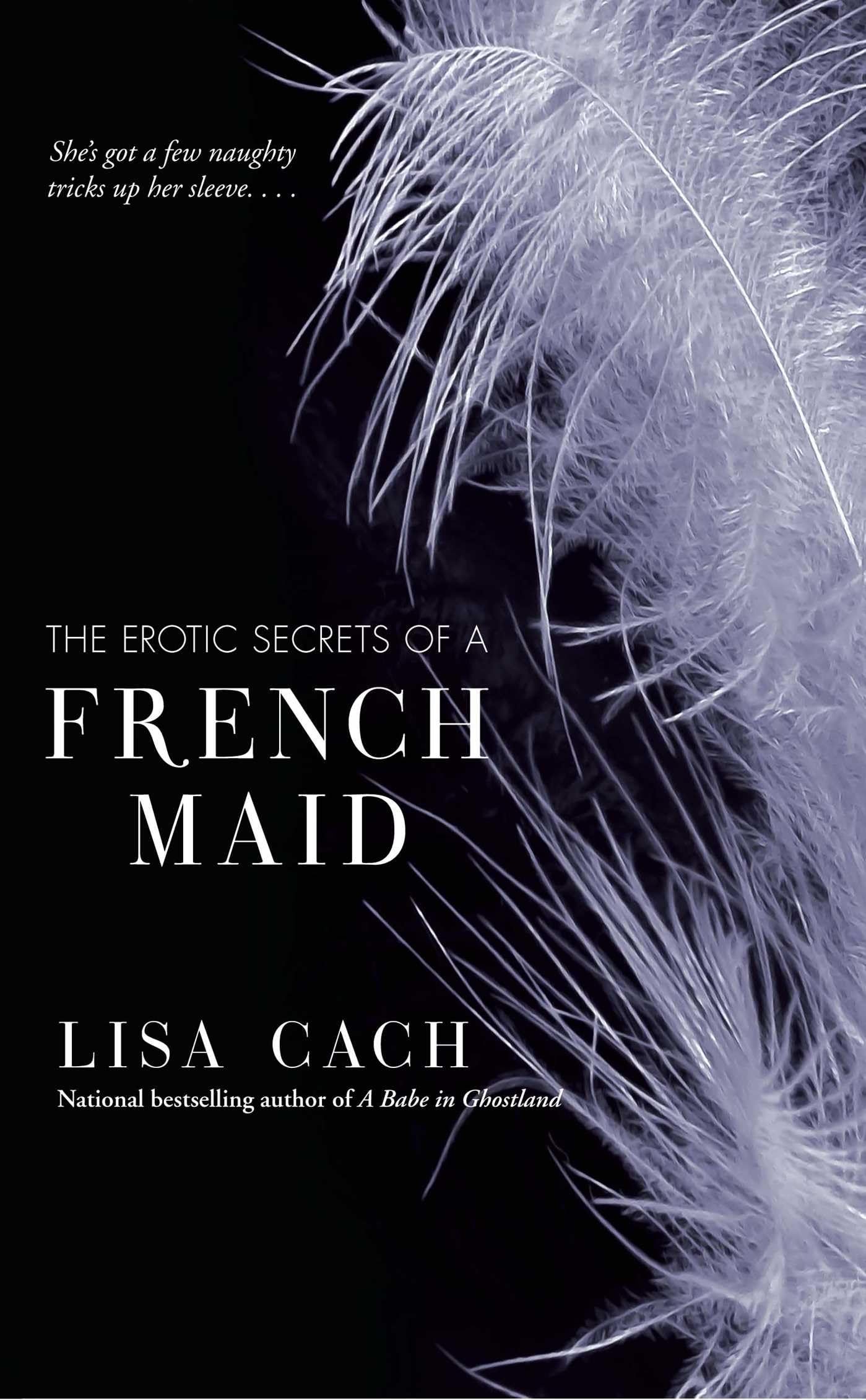 The Erotic Secrets of a French Maid,Used