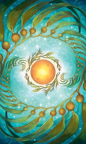 Mermaid Tarot,Used