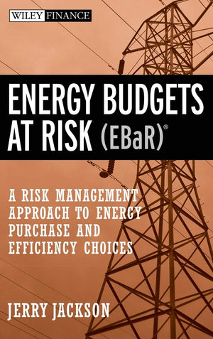 Energy Budgets at Risk (EBaR): A Risk Management Approach to Energy Purchase and Efficiency Choices,New