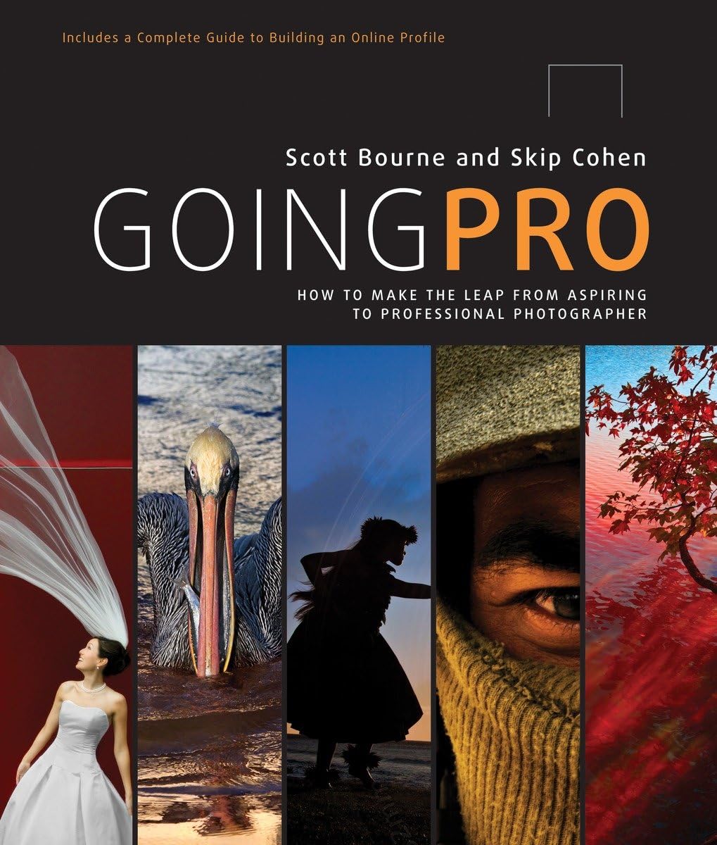 Going Pro: How To Make The Leap From Aspiring To Professional Photographer,Used