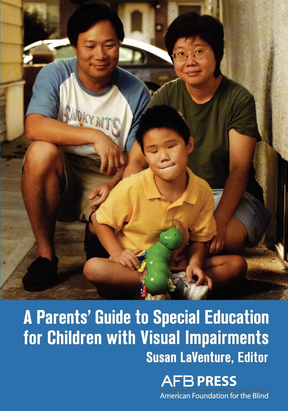 A Parents' Guide to Special Education for Children with Visual Impairments,Used