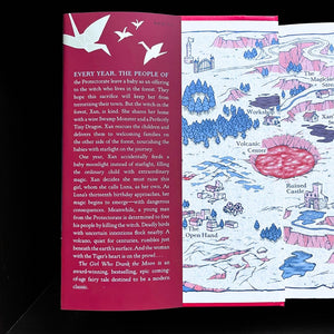 The Girl Who Drank the Moon (Winner of the 2017 Newbery Medal)  Gift Edition,Used