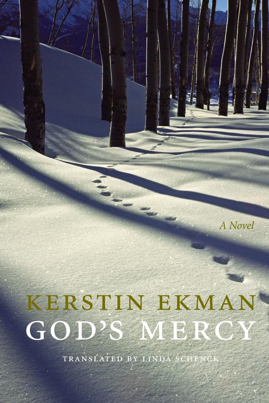 God'S Mercy (European Women Writers),Used