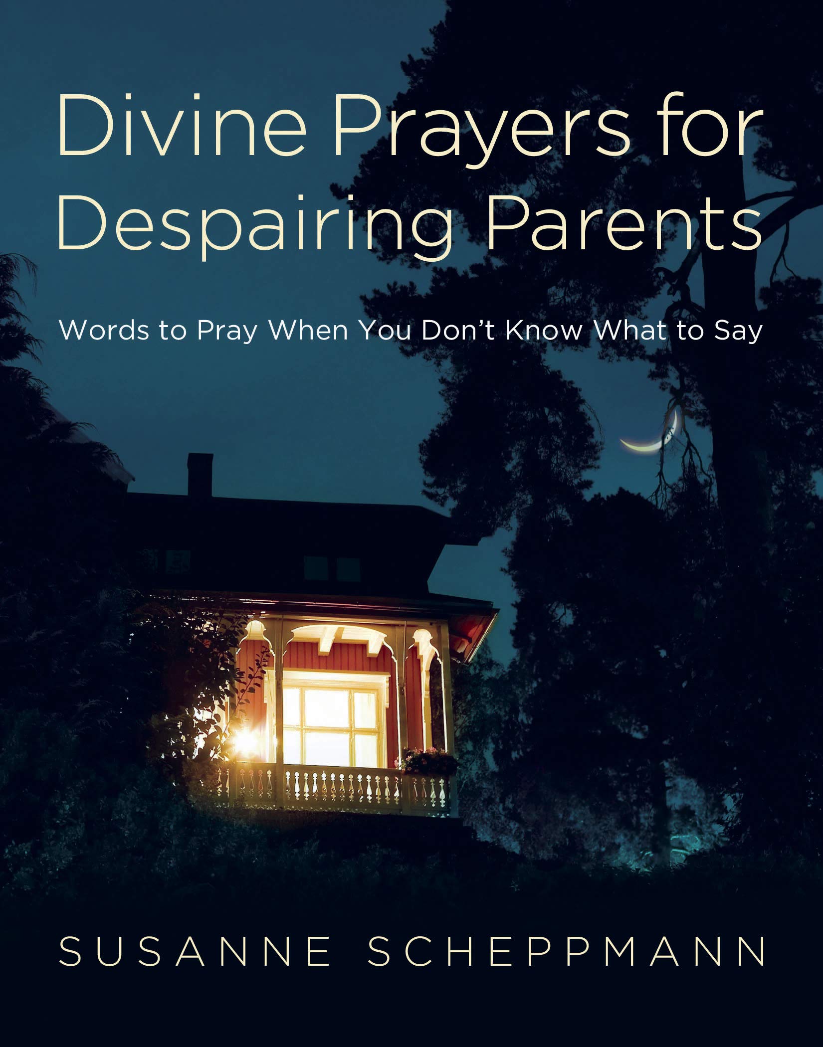 Divine Prayers for Despairing Parents: Words to Pray When You Don't Know What to Say,Used