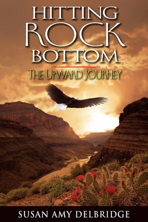Hitting Rock Bottom The Upward Journey,Used