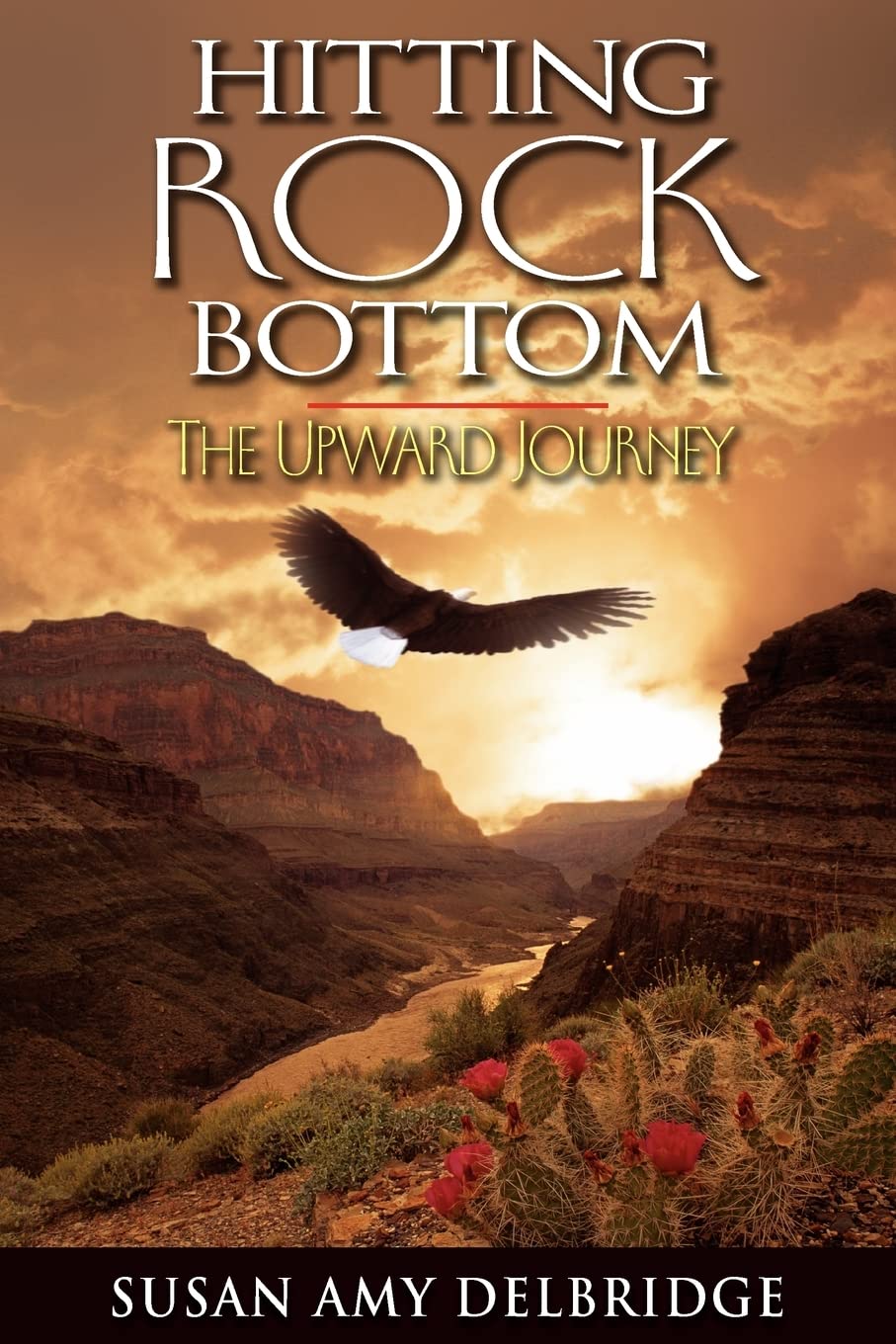 Hitting Rock Bottom The Upward Journey,Used
