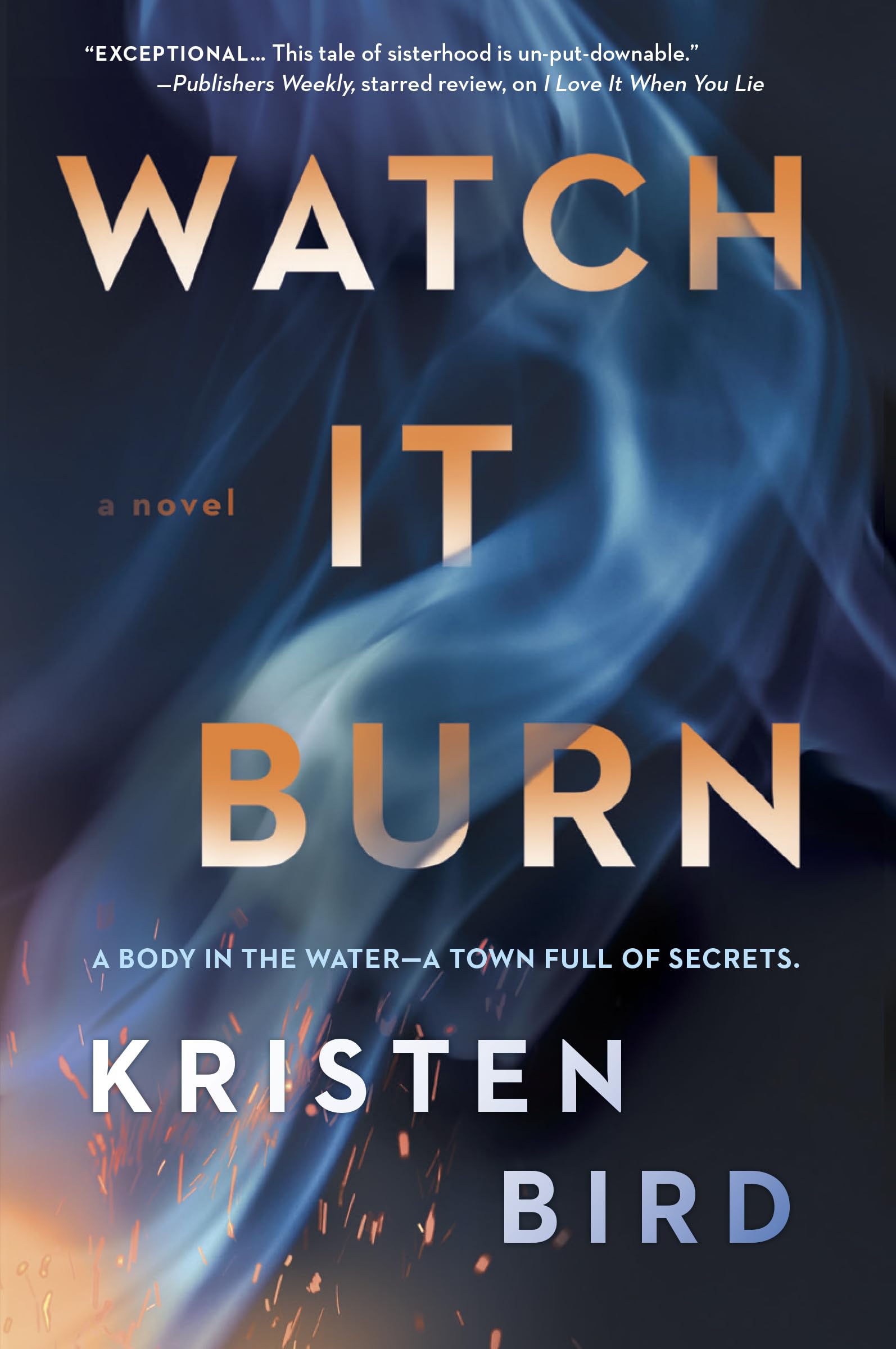 Watch It Burn: A Novel