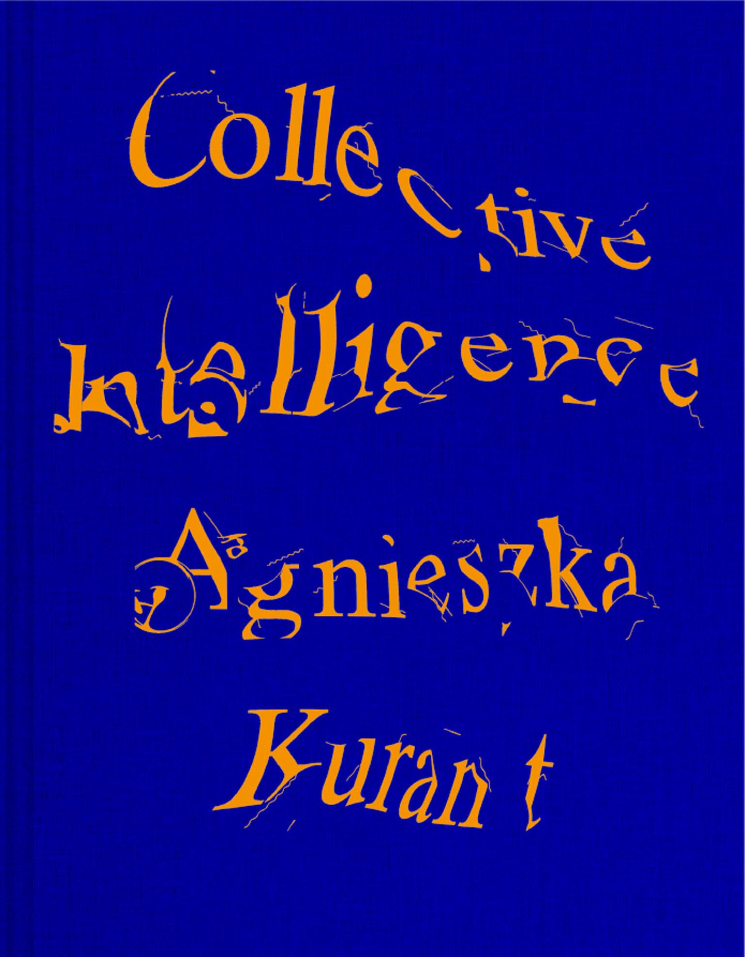 Agnieszka Kurant Collective Intelligence,New