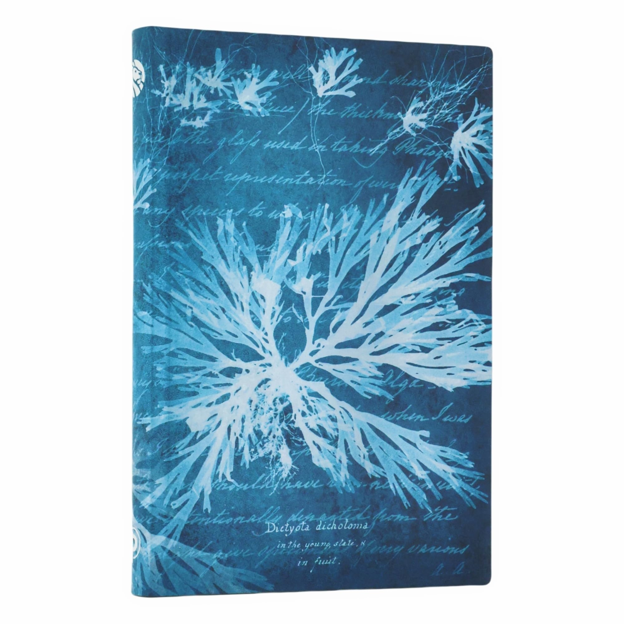 Sea Flowers Mini Lined Softcover Journal, 208Pg, 80Gsm, Treasures Of The New York Public Library By Paperblanks (Anna Atkins C