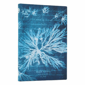 Sea Flowers Mini Lined Softcover Journal, 208Pg, 80Gsm, Treasures Of The New York Public Library By Paperblanks (Anna Atkins C