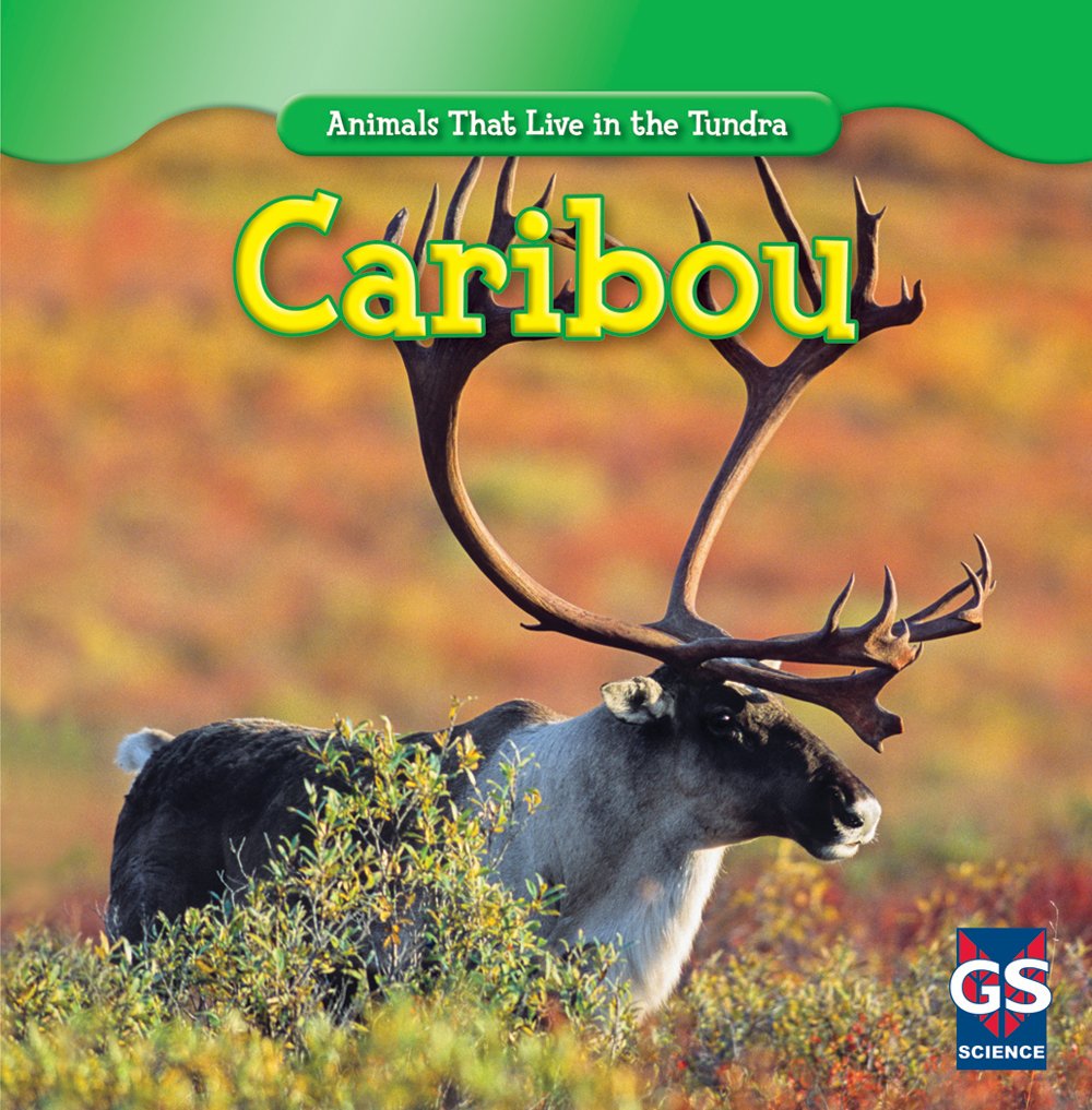 Caribou (Animals That Live In The Tundra),Used