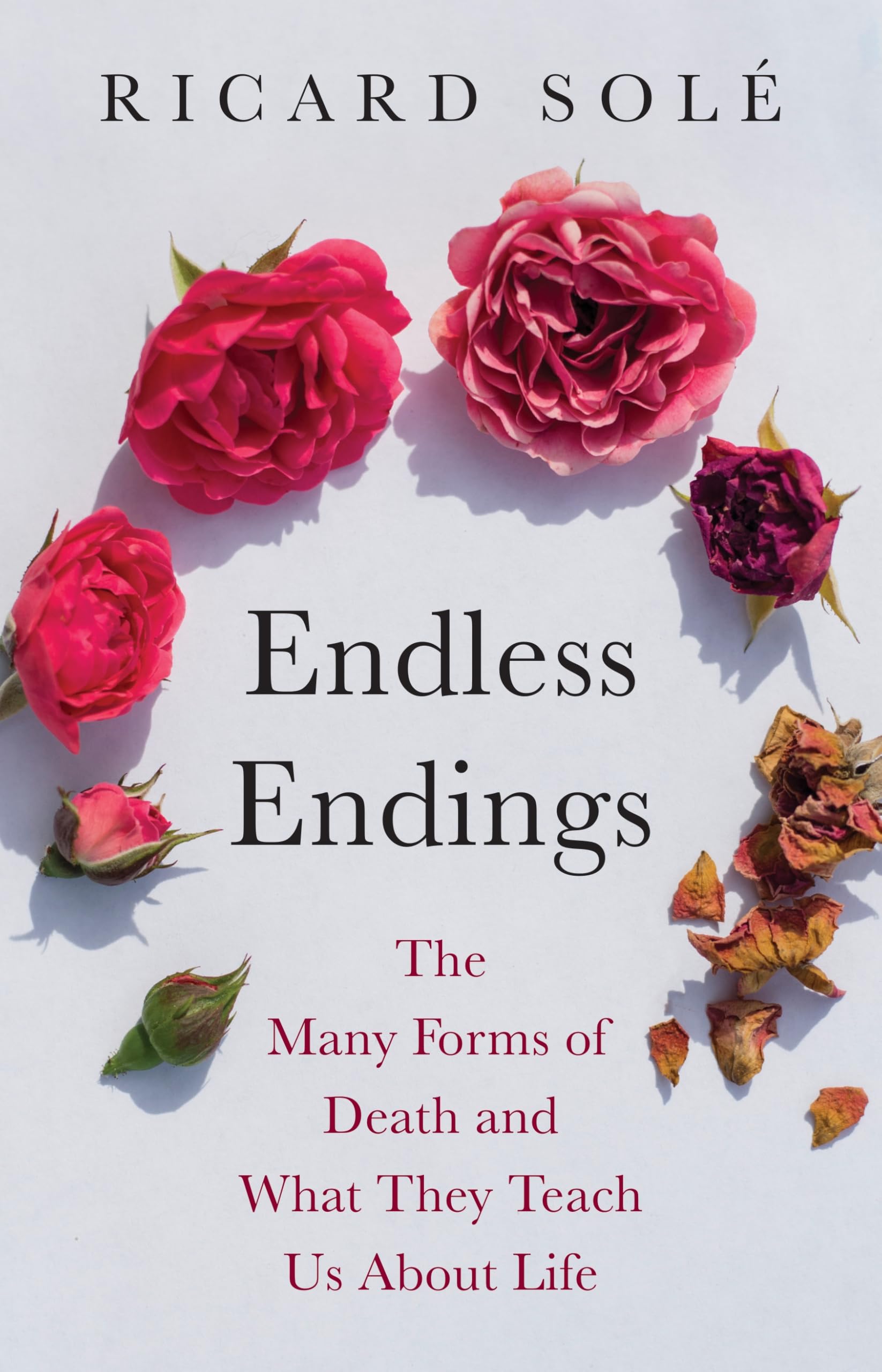 Endless Endings: The Many Forms Of Death And What They Teach Us About Life