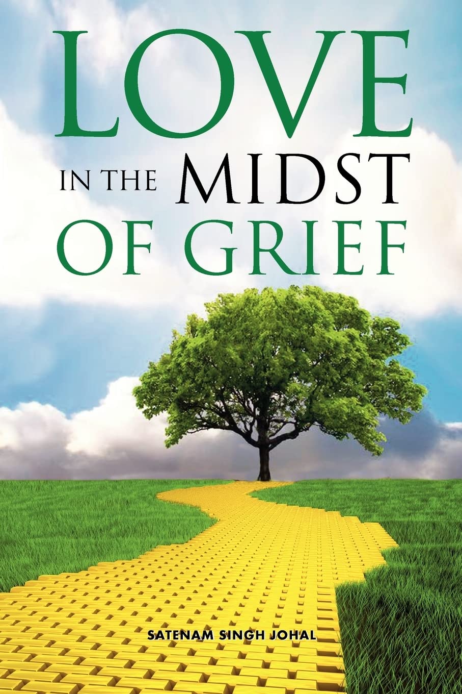 Love in the Midst of Grief,Used