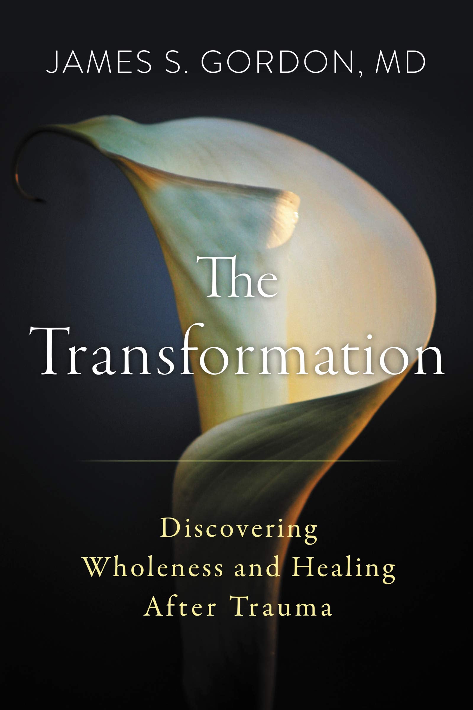 The Transformation: Discovering Wholeness And Healing After Trauma-used