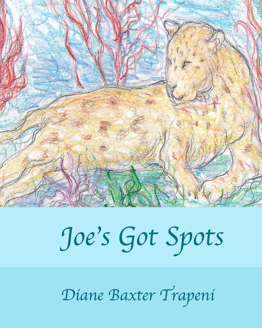 Joes Got Spots,Used