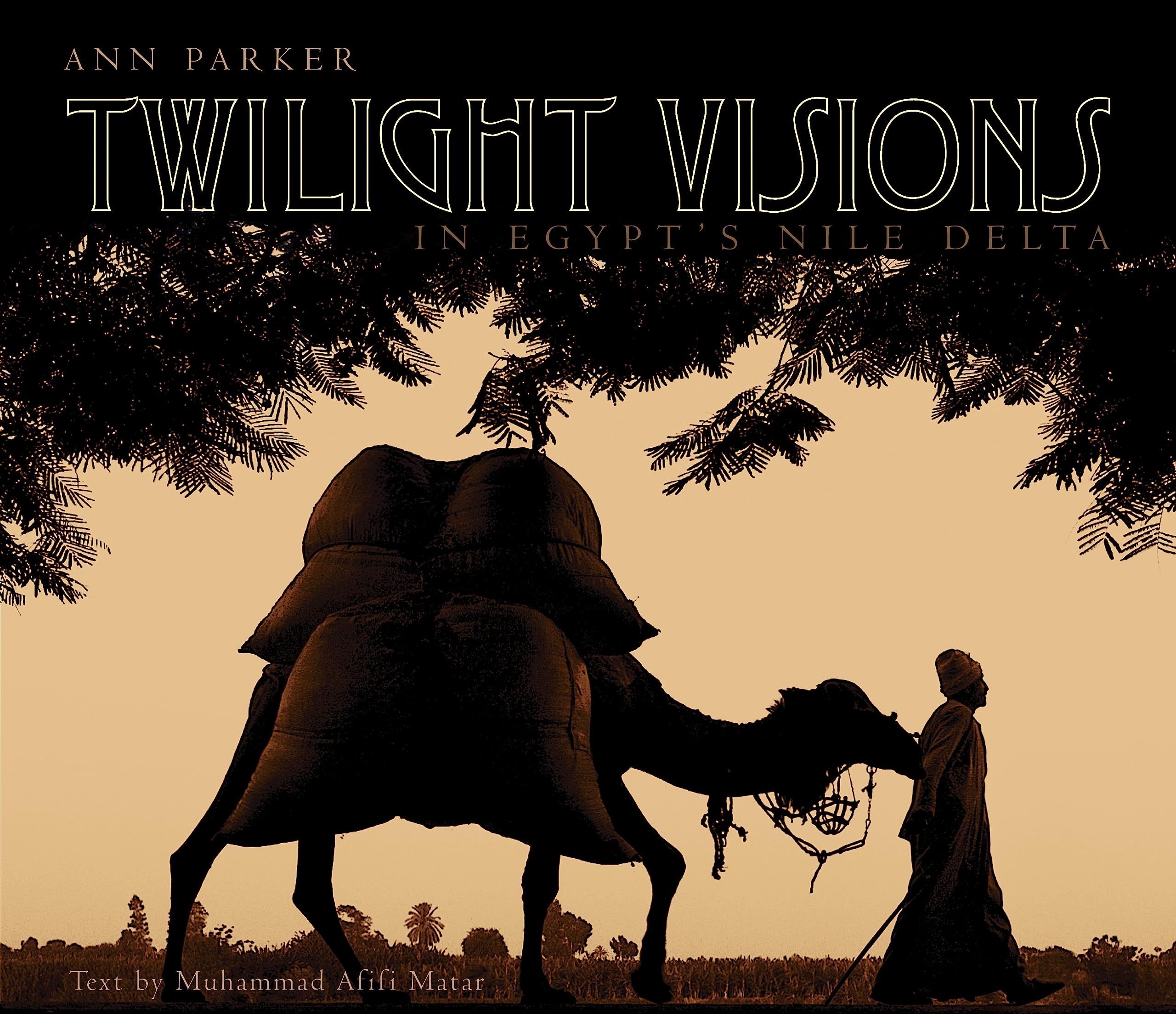 Twilight Visions in Egypts Nile Delta,Used