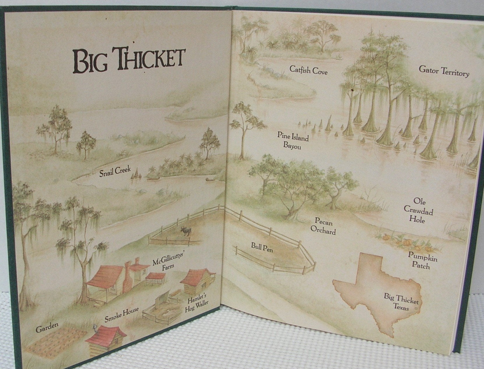 Adventures in the Big Thicket,Used