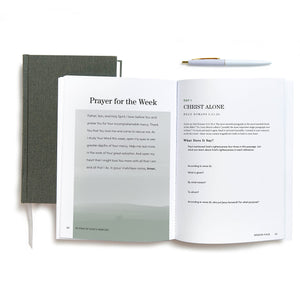 In View of Gods Mercies - Bible Study Book with Video Access: The Gift of the Gospel in Romans-New