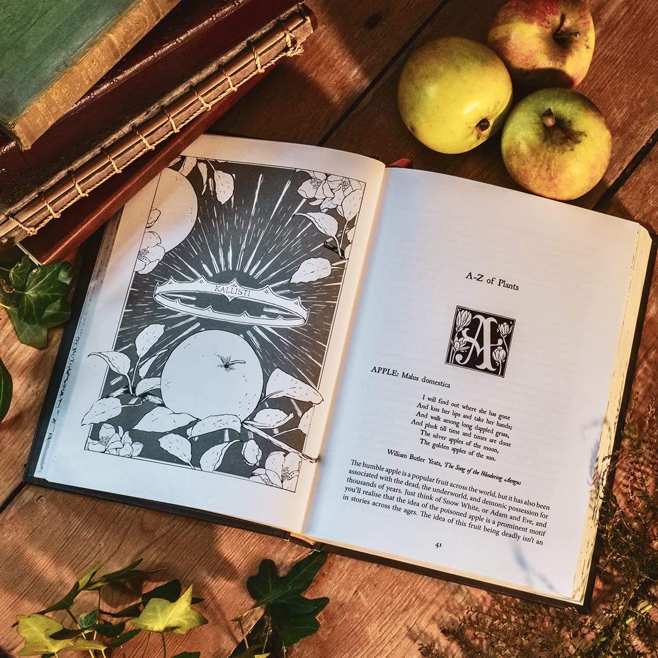 Botanical Curses And Poisons: The Shadowlives Of Plants