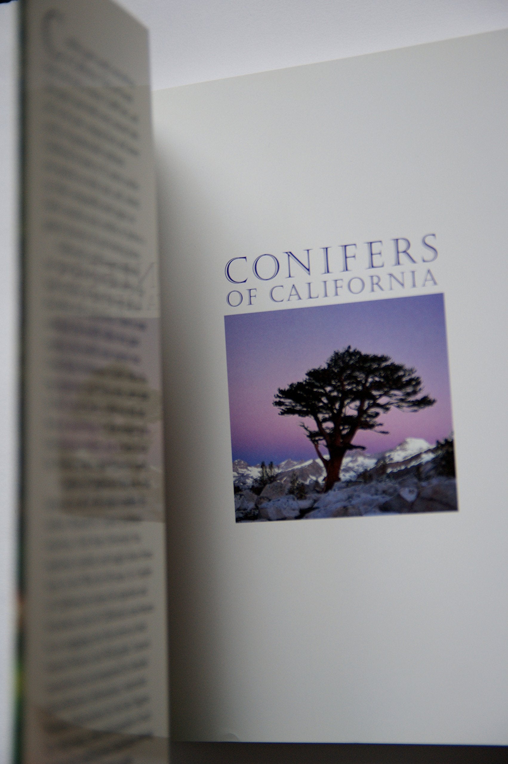 Conifers of California,New