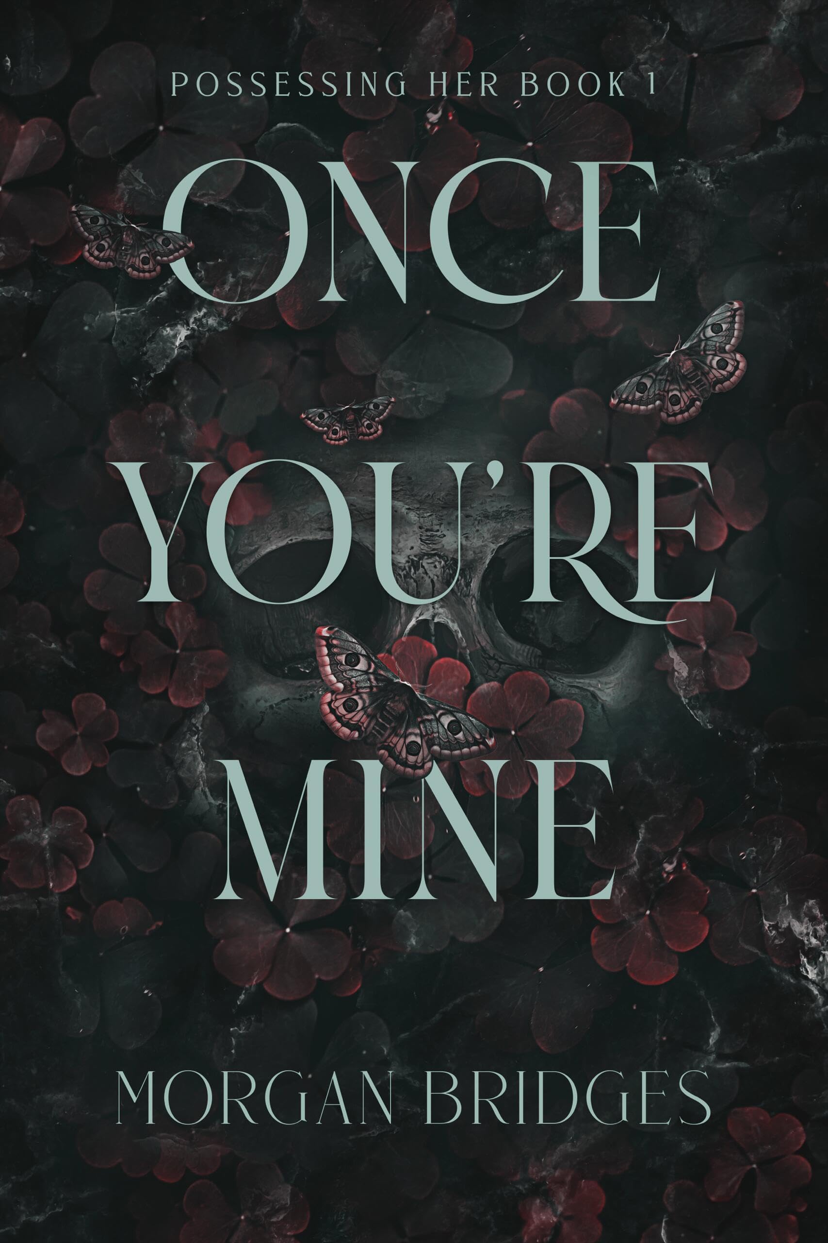 Once Youre Mine: A Dark Stalker Romance