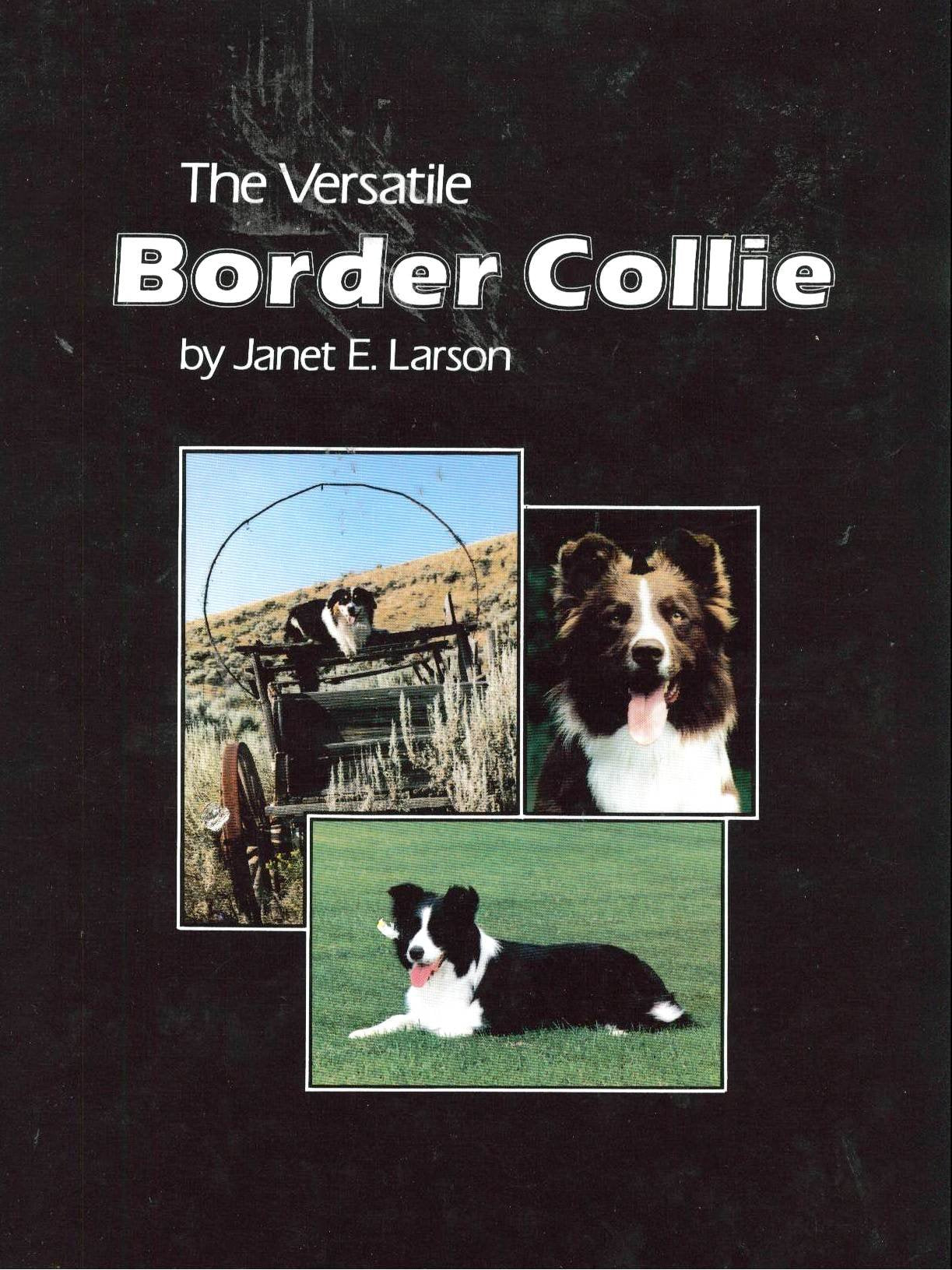 The Versatile Border Collie,Used