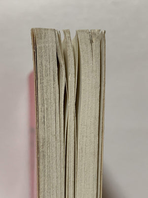 Do You See What I See?: A Message from a Mystic (A Quest book),Used