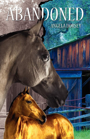 Abandoned: A Time Travel Horse Adventure,Used