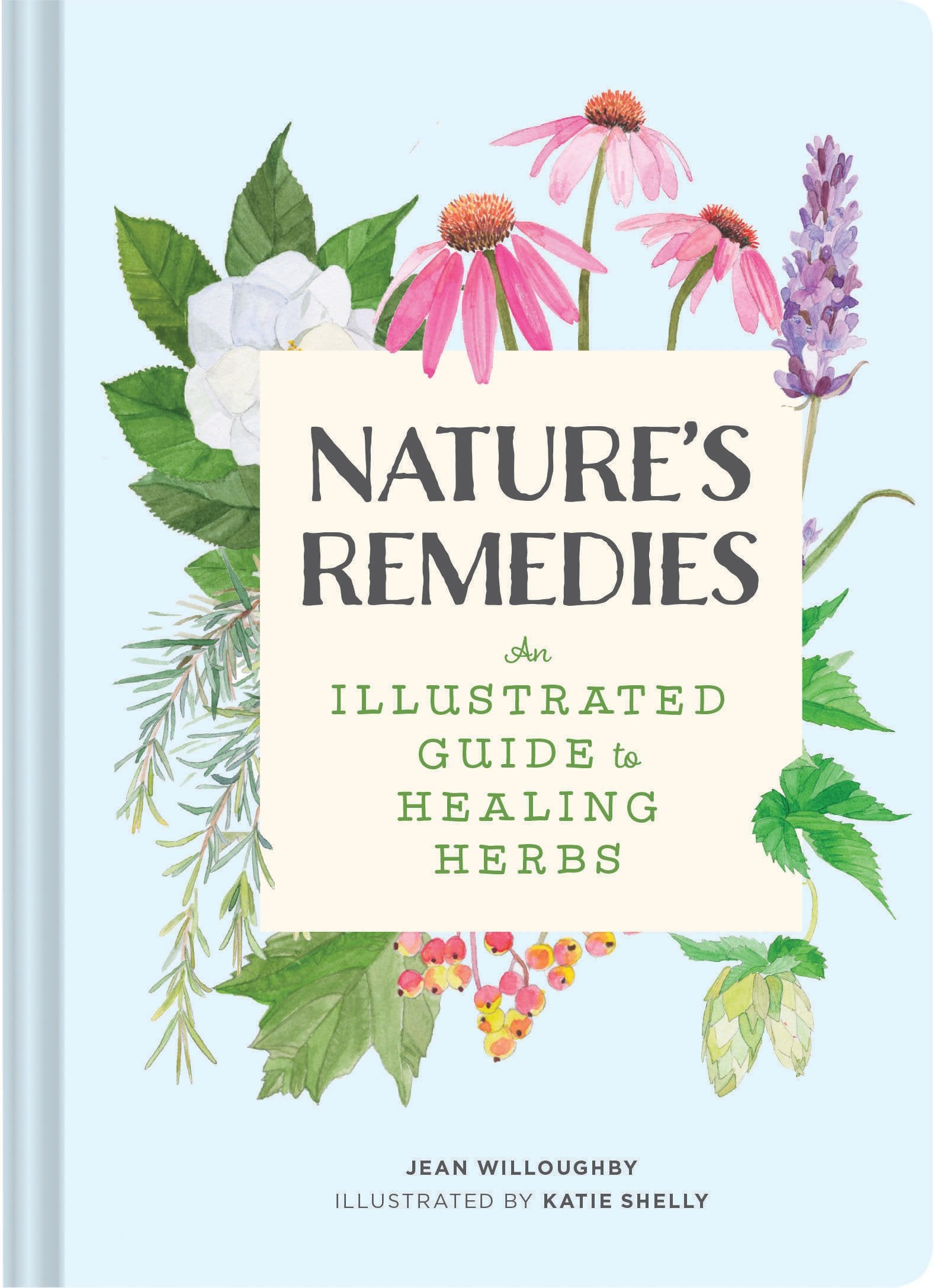 Nature'S Remedies: An Illustrated Guide To Healing Herbs