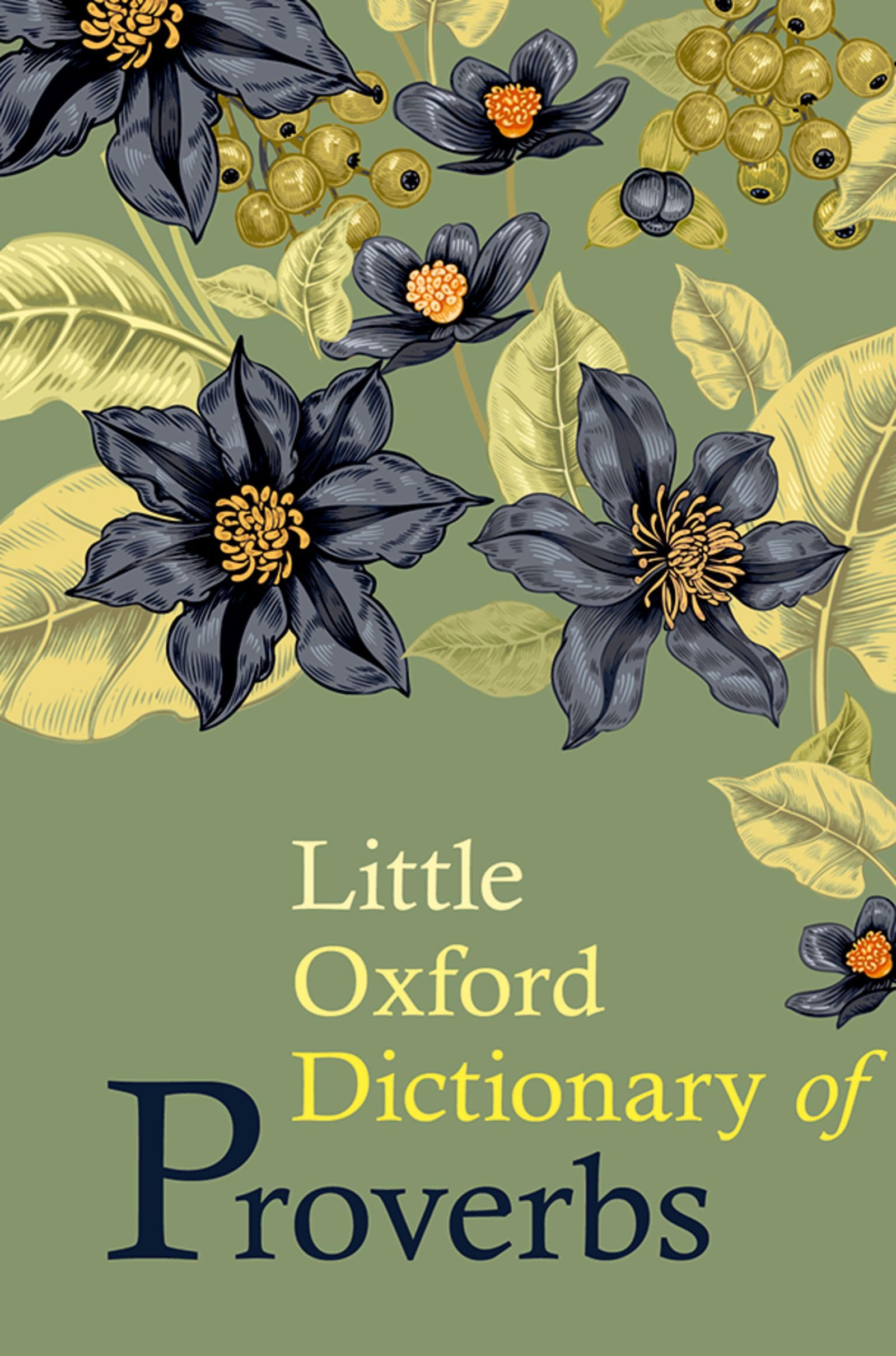 Little Oxford Dictionary of Proverbs,Used