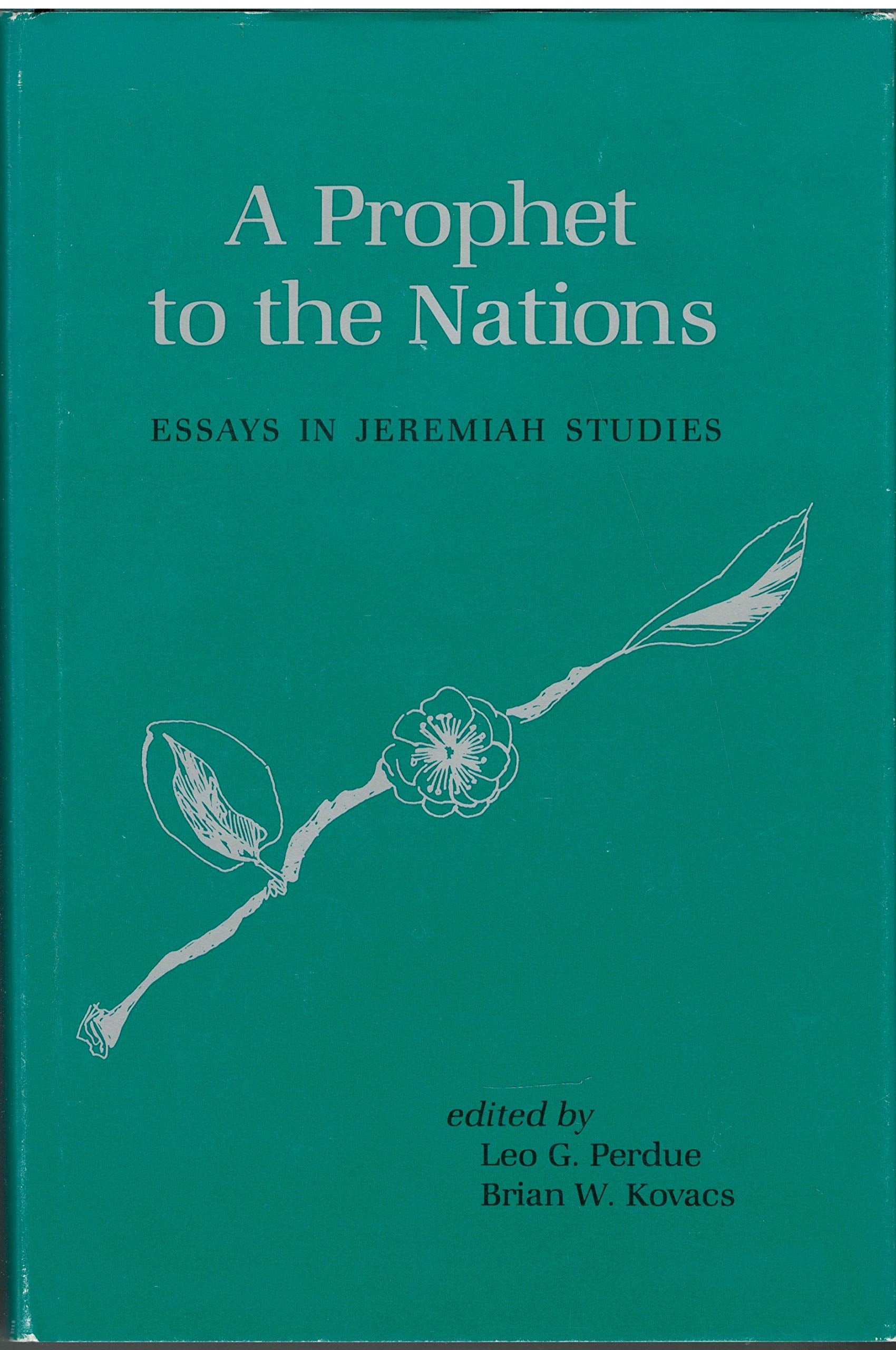Prophet To The Nations: Essays In Jeremiah Studies-used
