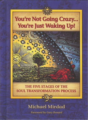 You're Not Going Crazy...You're Just Waking Up! The Five Stages of Soul Transformation Process,Used