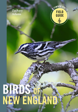 Birds Of New England: A Timber Press Field Guide