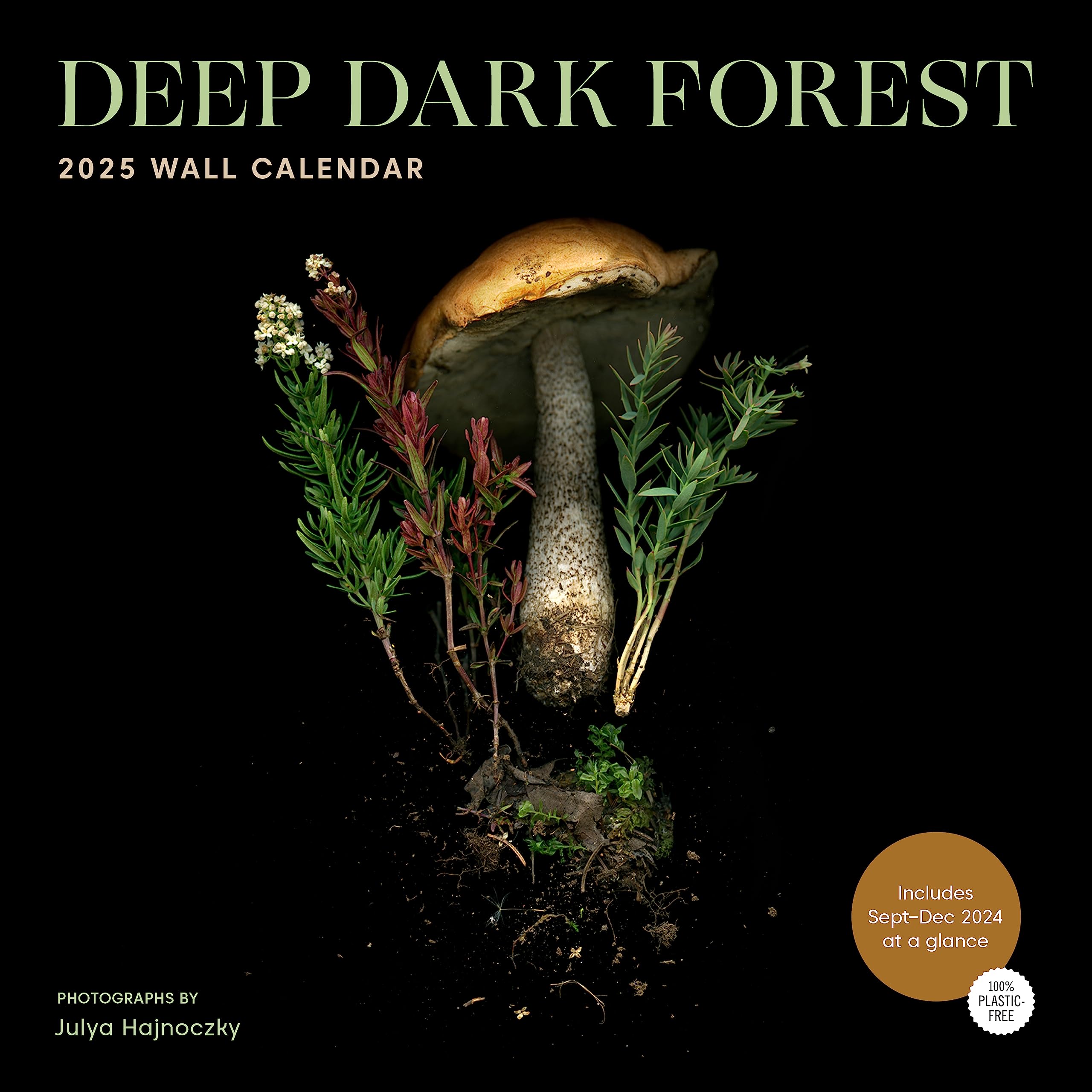 Deep Dark Forest 2025 Wall Calendar,New