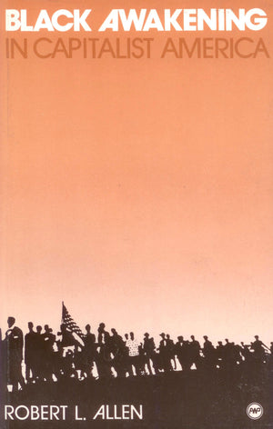 Black Awakening in Capitalist America: An Analytic History,Used