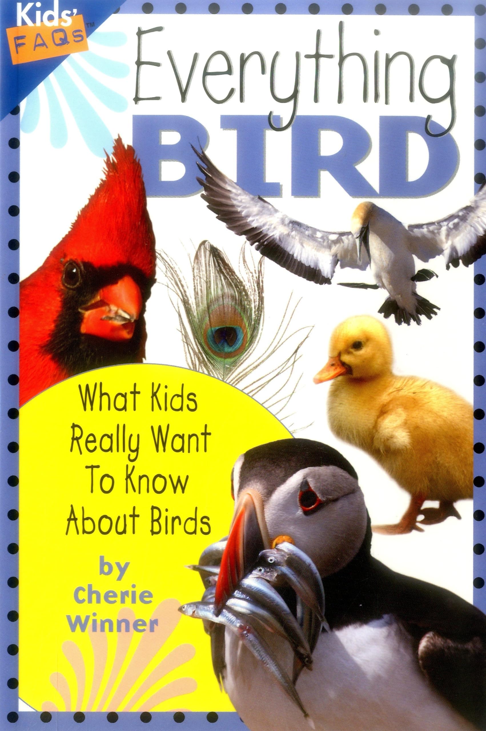 Everything Bird: What Kids Really Want To Know About Birds (Kids Faqs),Used