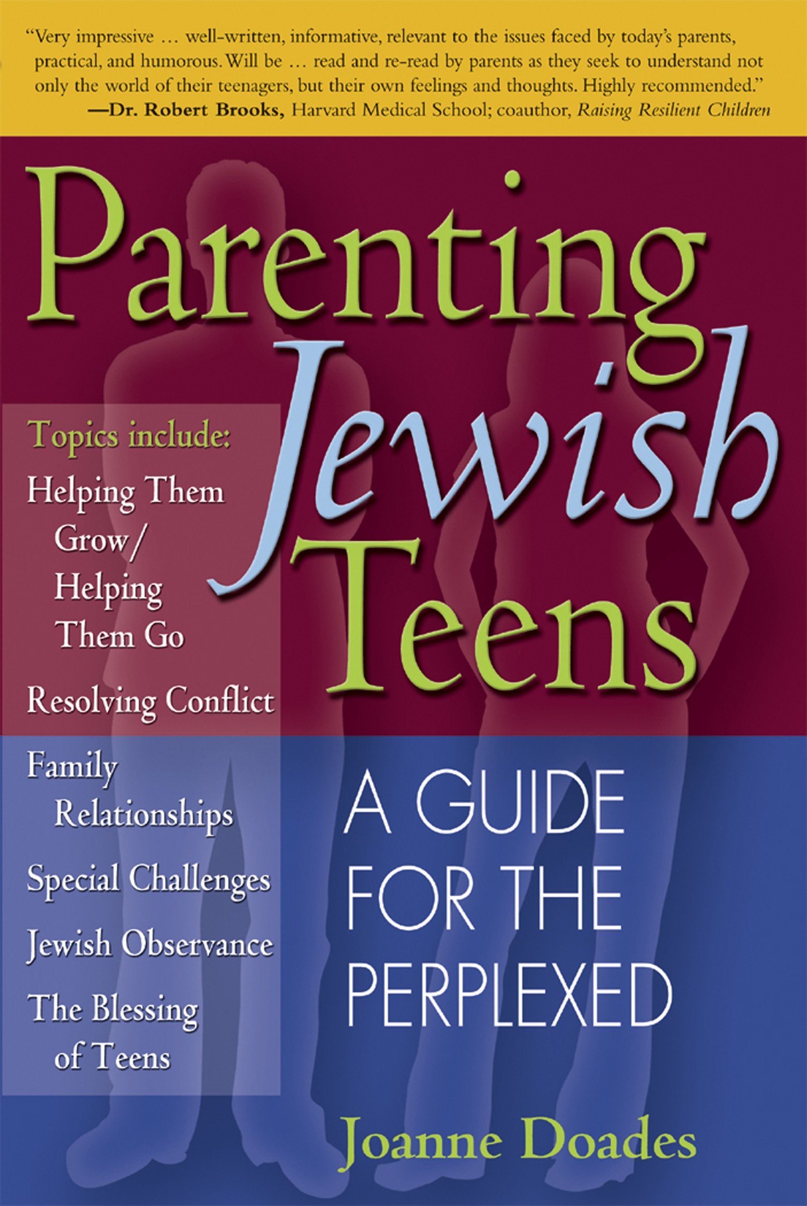 Parenting Jewish Teens: A Guide for the Perplexed,Used