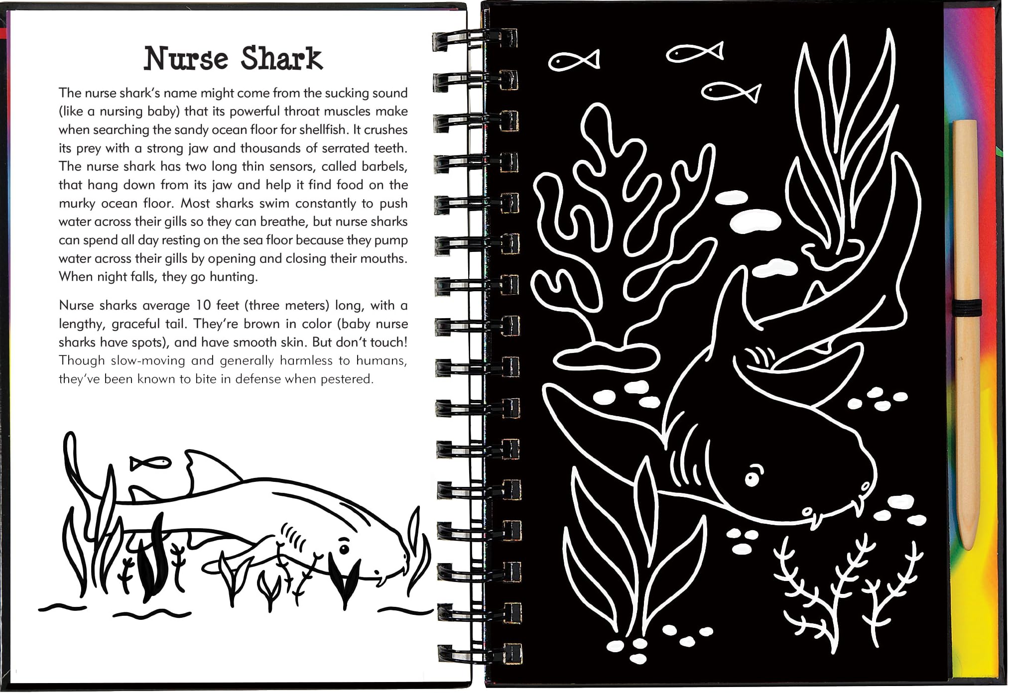 Scratch & Sketch Sharks (Trace Along),Used