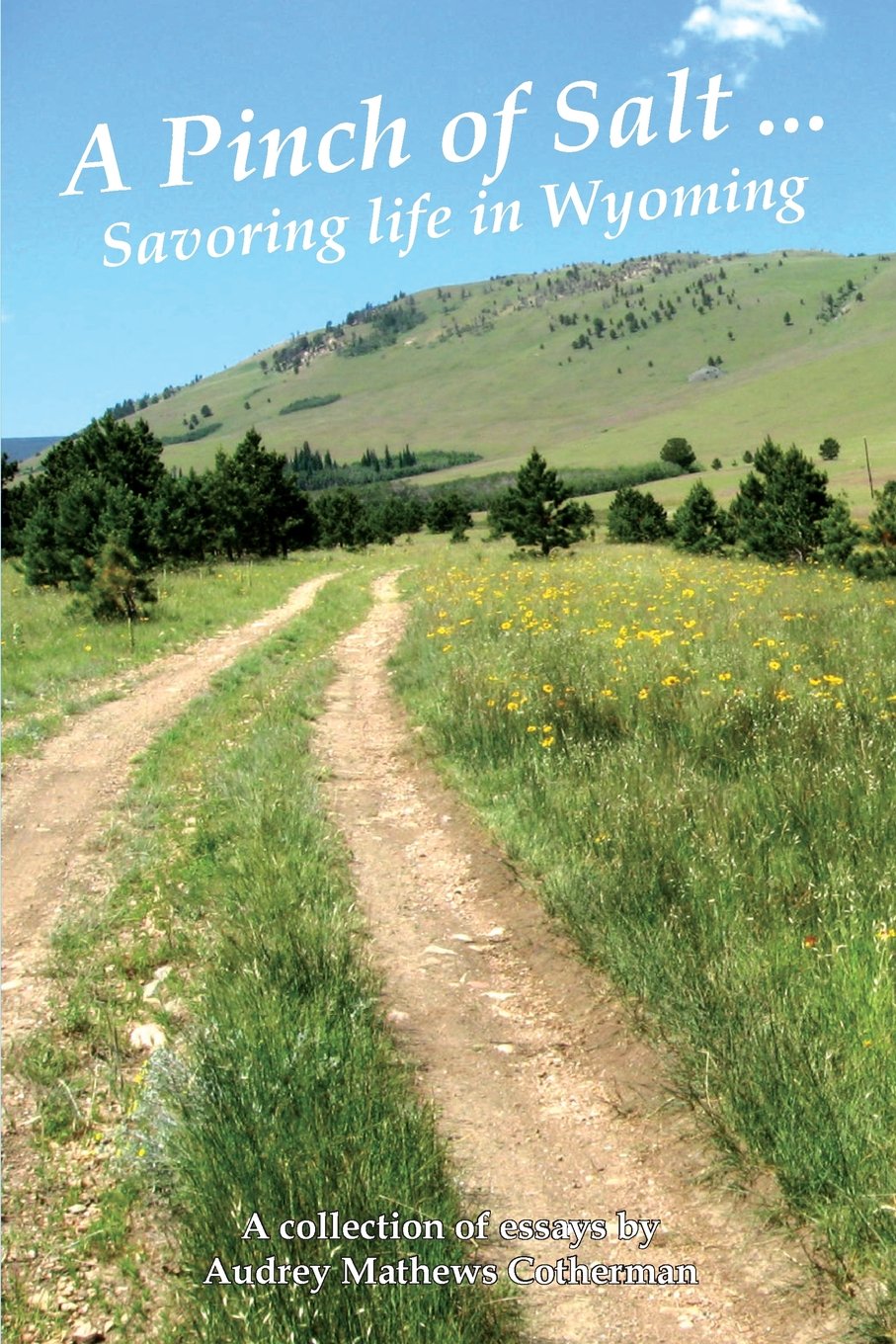 A Pinch of Salt: Savoring Life in Wyoming,Used