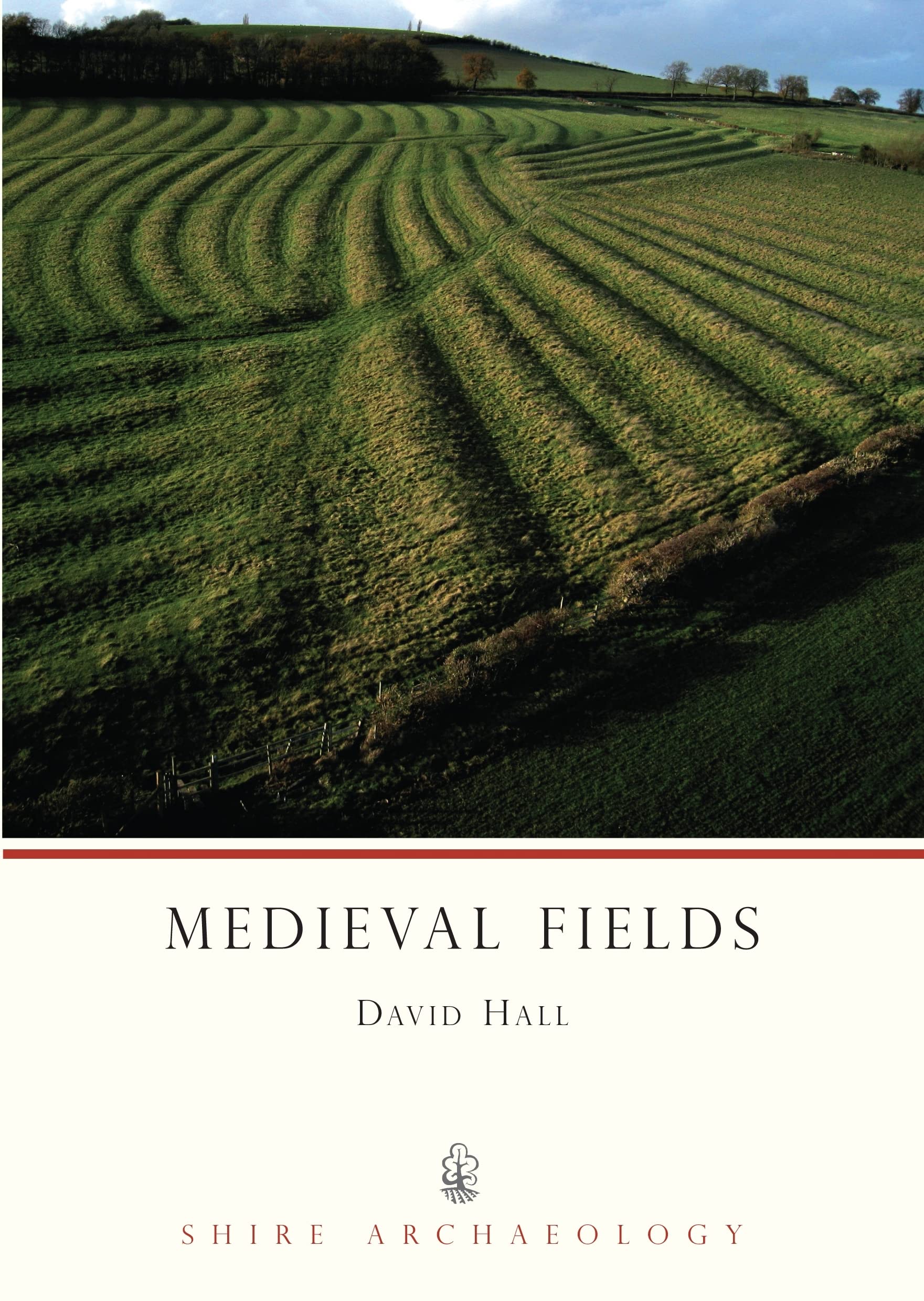 Medieval Fields (Shire Archaeology),Used