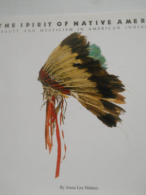 The Spirit of Native America: Beauty and Mysticism in American Indian Art,New