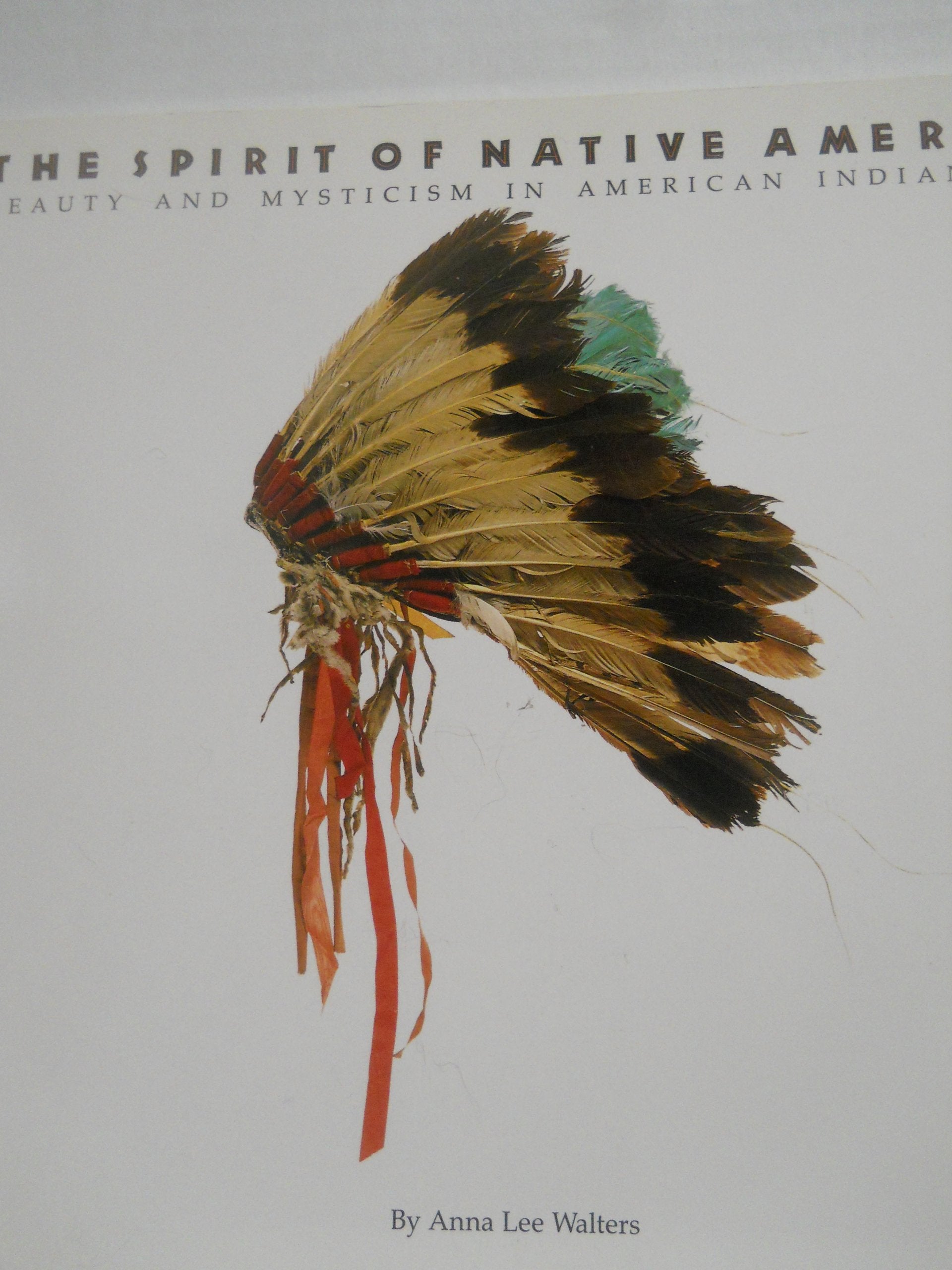 The Spirit of Native America: Beauty and Mysticism in American Indian Art,Used