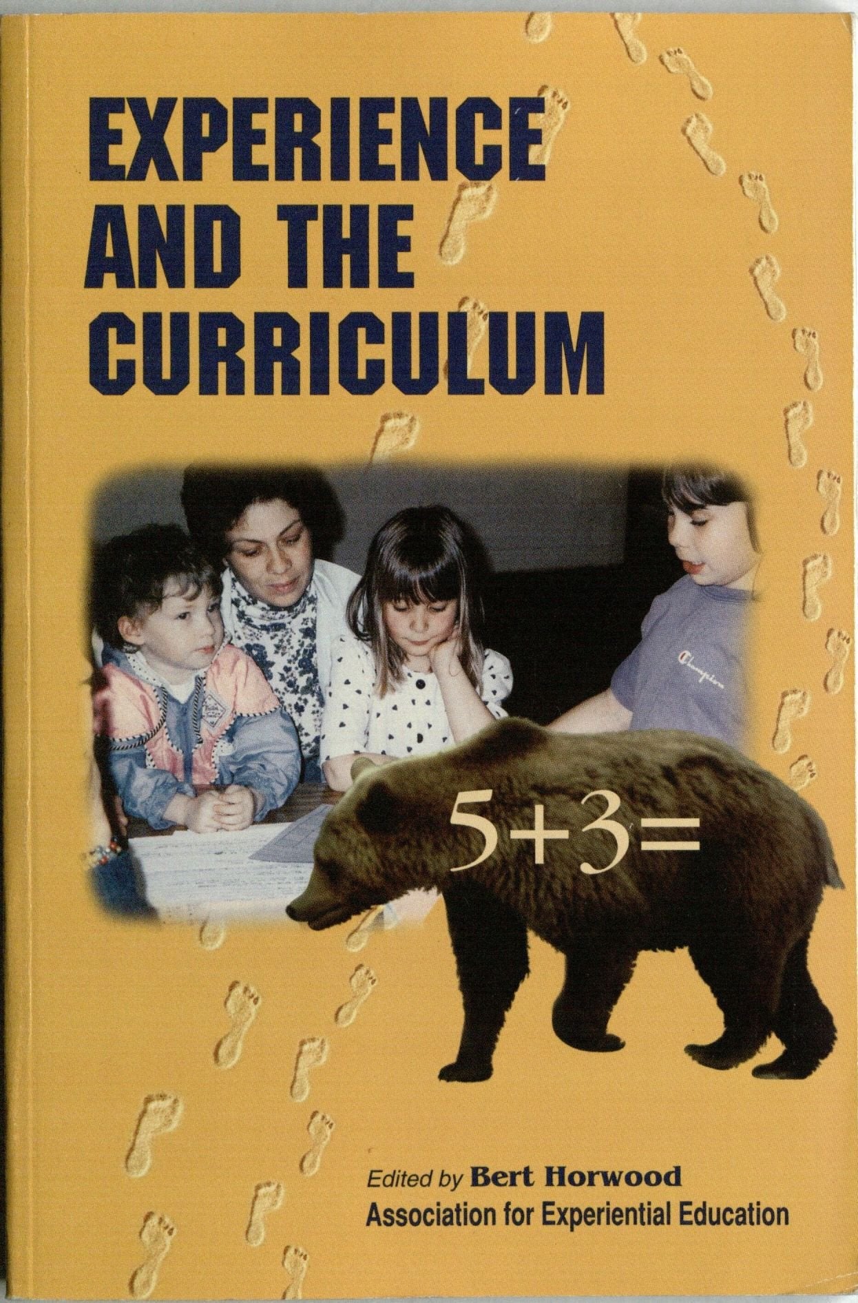 Experience and the Curriculum,Used