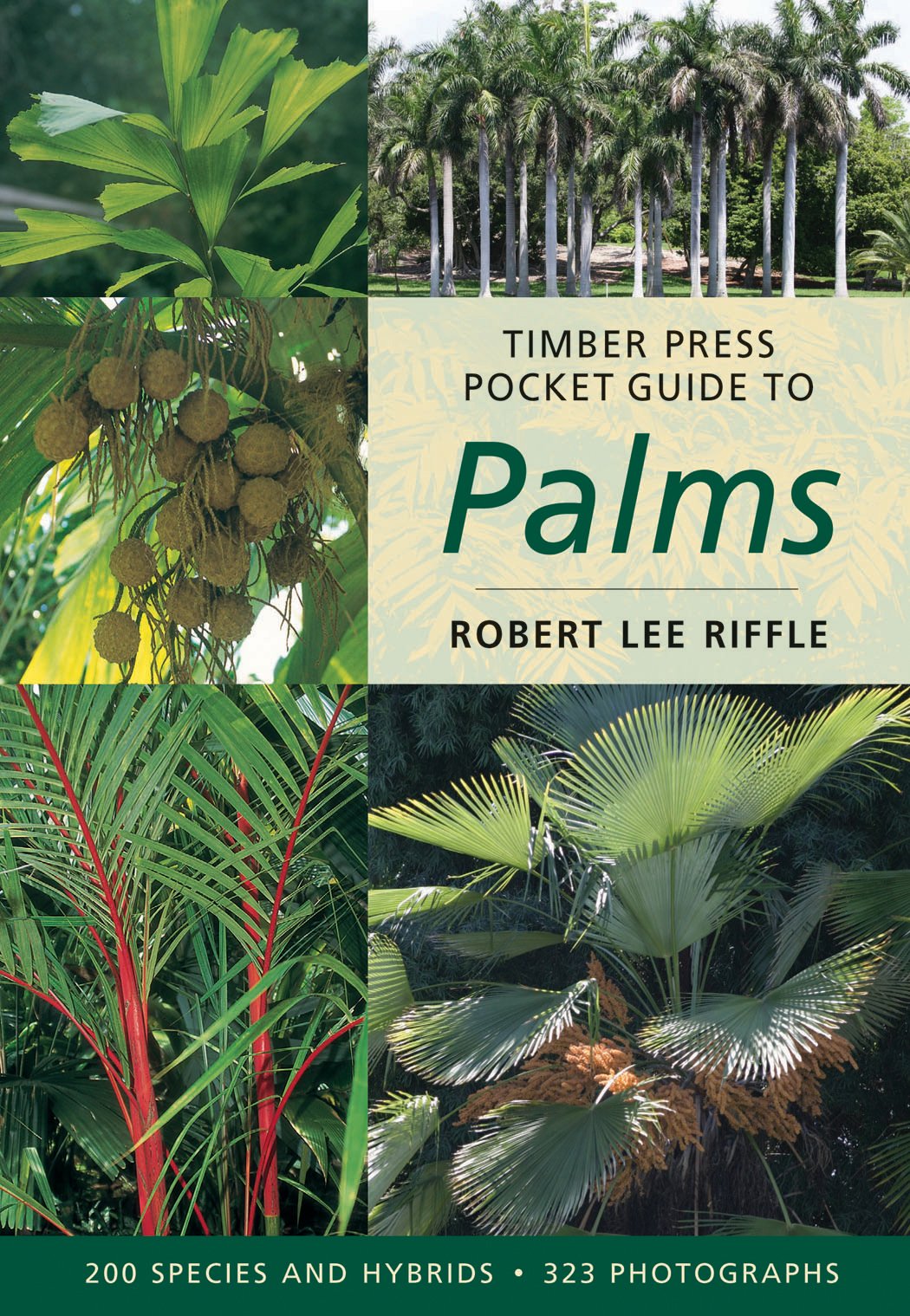 Timber Press Pocket Guide To Palms,New