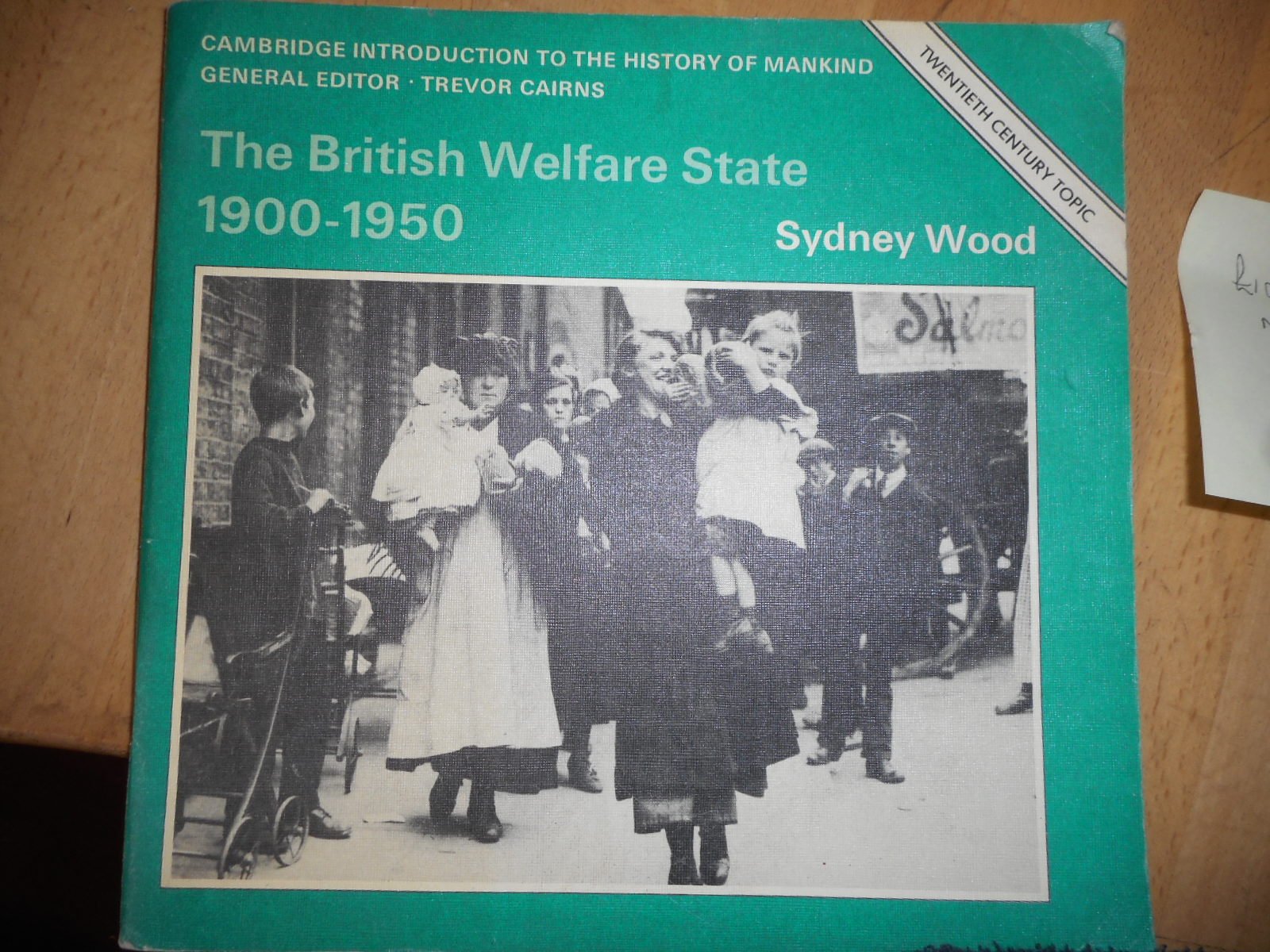 The British Welfare State 19001950 (Cambridge Introduction to World History),Used