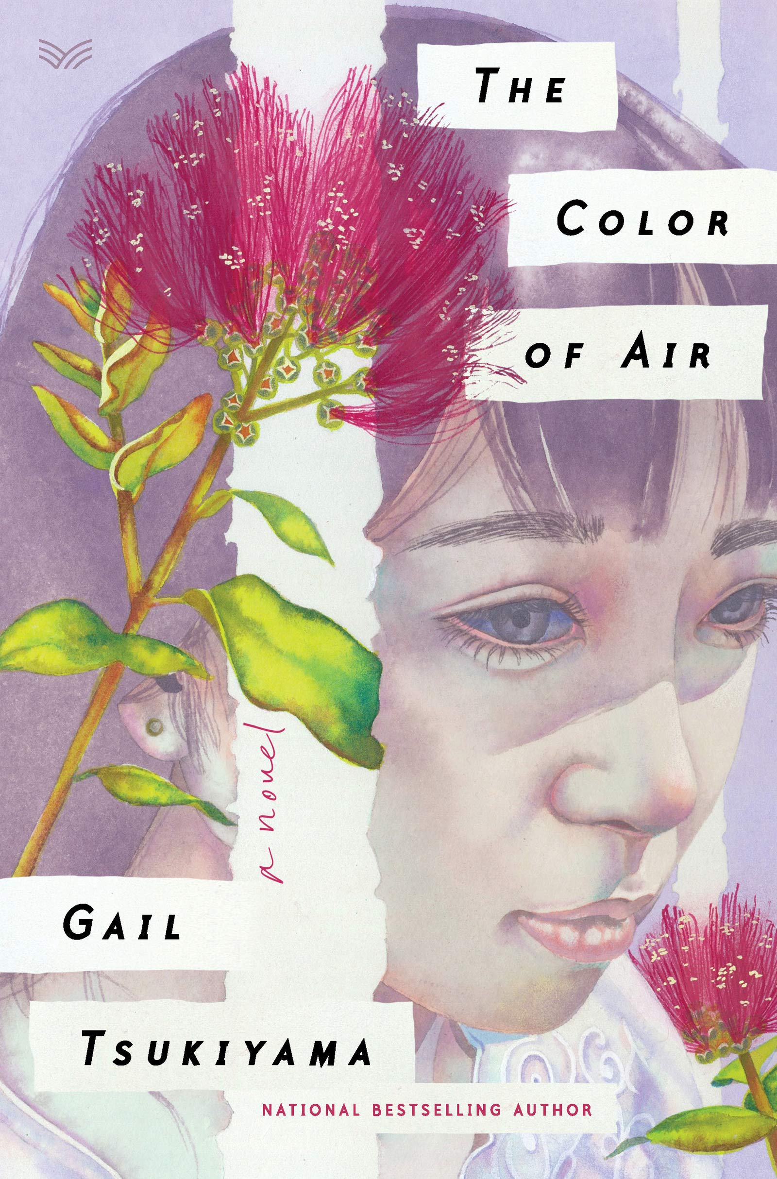 The Color of Air: A Novel,Used