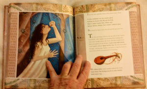 Shakespeare's Romeo and Juliet,Used